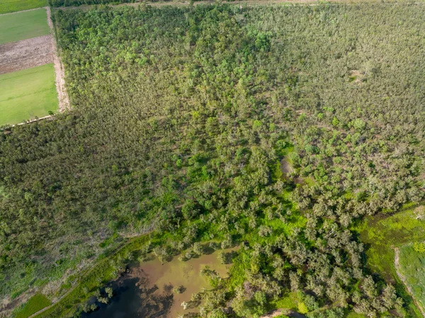 İnsansız hava aracı, doğal yaşam rezervini çevreleyen çalılıklara ve büyüyen bir çiftliğin köşesine tepeden bakıyor.