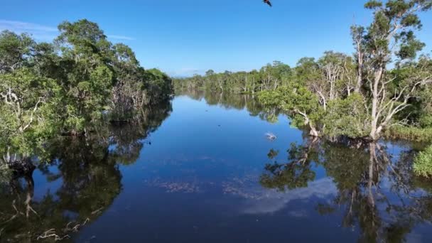 Luchtbeelden Het Oppervlak Van Het Wildreservaat Moleyns Lagune Met Natuurlijke — Stockvideo