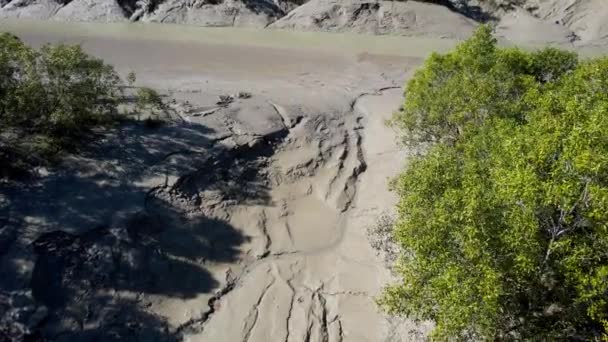 Drone Volo Torrente Mareale Molto Fangoso Insabbiato Con Vegetazione Nativa — Video Stock