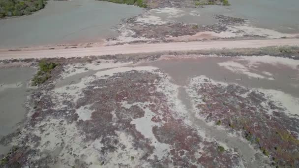 Voo Drone Sobre Salinas Maré Baixa Mostrando Todos Padrões Abstratos — Vídeo de Stock