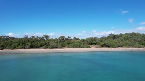 ブッシュランド海岸と青い水と空を持つ無人の砂の小石のビーチの映像 — ストック動画