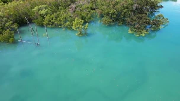 マングローブの植生を持つ湾のターコイズブルーの静止した水と古いボートの係留 無人航空機の遺跡 — ストック動画