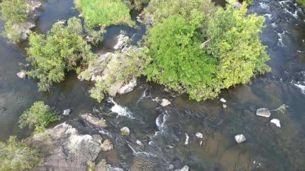 Drone Footage Shallow Riverbed Water Flowing Rocks Green Trees Vegetation — Stock Video