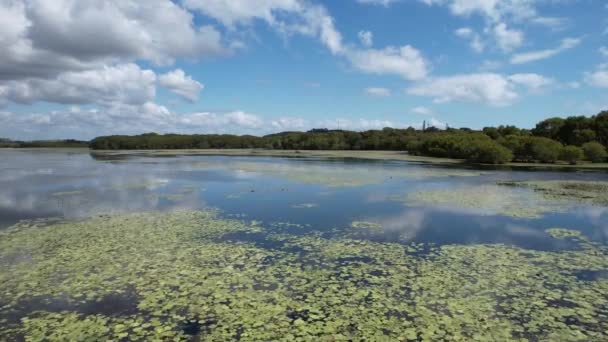 Drone Riprese Aeree Una Laguna Naturale Coperta Ninfee Riflessi Nuvolosi — Video Stock