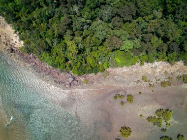 Düşük gelgit ve kumdaki desenlerle bir adaya yapılan küçük tropik kıyı arazisinin insansız hava aracı manzarası.