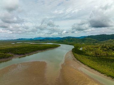Proserpine Nehri alçak gelgitte bulutlu bir gökyüzünün altında, İHA hava sahası