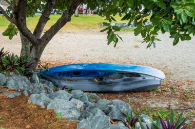Bir ağacın gölgesinde, kumsalda küçük bir kaya duvarının yanında duran mavi bir kano.