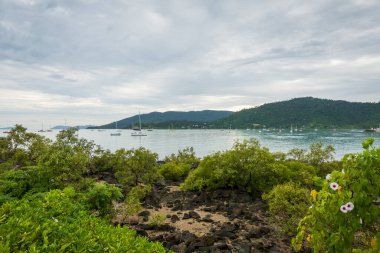 Airlie Sahili, Queensland, Avustralya, dalgaların çekildiği körfezde demirlemiş yatlar ve mangrovlar kıyı şeridinde açıkta.