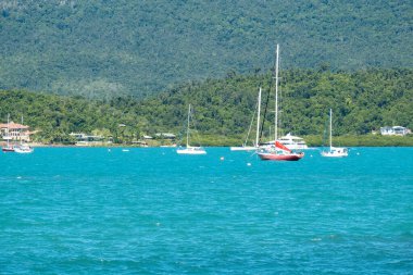 Airlie Beach, Queensland, Avustralya - Ocak 2022: Koyda demirlemiş yatlar popüler sahil kasabasındaki tropikal orman arka planına karşı