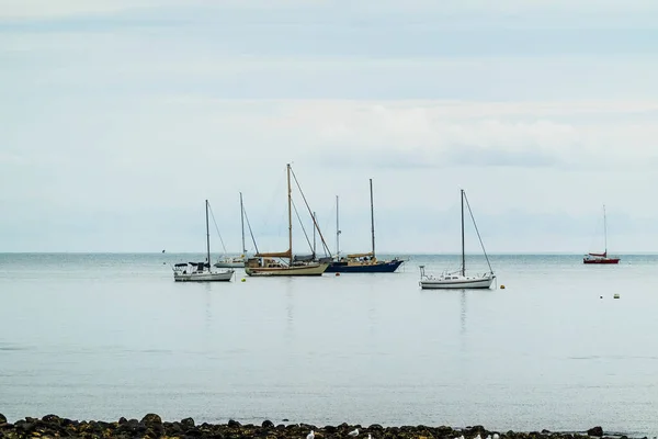 Airlie Beach Queensland Australia January 2022 Yachts Sails Anchored Buoys — 图库照片