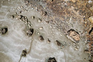 Alçak gelgitte kayalık bir plajın insansız hava aracı tarafından tepeden aşağı bakılıyor.