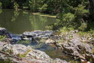 Tropikal yağmur ormanlarındaki bir yüzme havuzuna akan küçük bir dere..