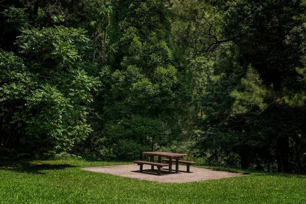 Τραπέζι Πικ Νικ Και Καθίσματα Ένα Τροπικό Εθνικό Πάρκο Που — Φωτογραφία Αρχείου