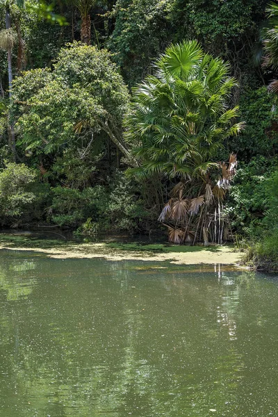 Aguas Tranquilas Hoyo Natación Parque Nacional Tropical Con Las Orillas —  Fotos de Stock