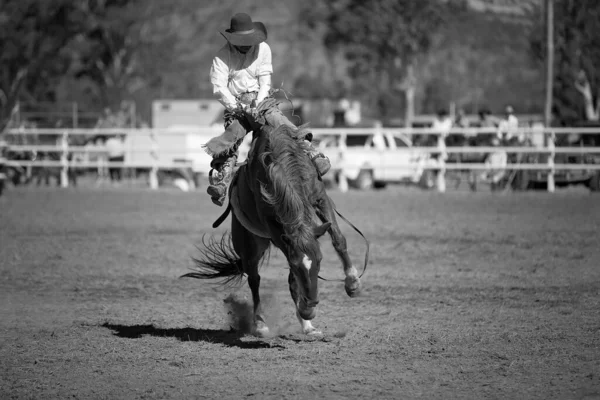 Cowboy Rides Bucking Horse Bareback Bronc Event Country Rodeo — Stock Photo, Image