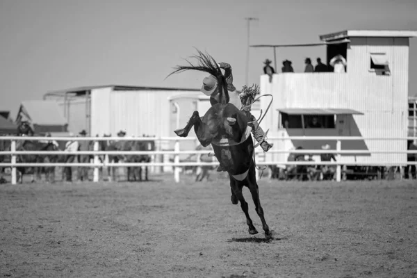 Cowboy riding a bucking horse in bareback bronc event at a country rodeo.