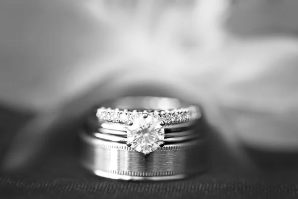 Anillos Boda Apilados Frente Una Flor Borrosa Orquídea — Foto de Stock