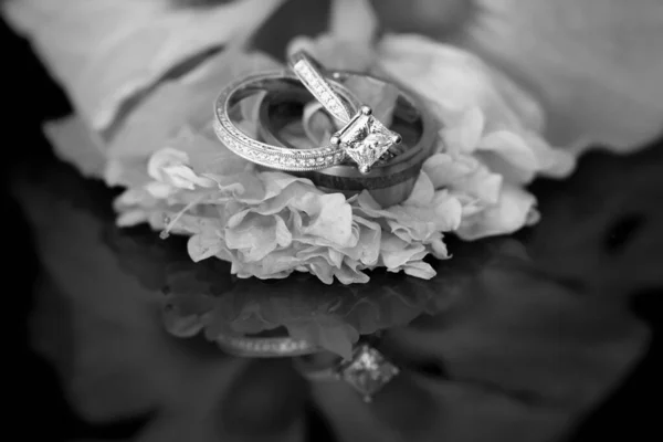 黒の表面に反射してハイビスカスの花に結婚指輪 — ストック写真