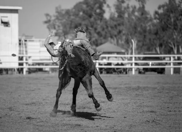 Καουμπόι Ιππεύει Ένα Άλογο Μια Ξυπόλητη Εκδήλωση Βρόγχου Μια Χώρα — Φωτογραφία Αρχείου