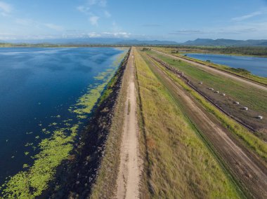 Su kenarındaki su bitkilerinin olduğu bir baraj duvarı ve diğer tarafta da bir gölet kaplaması. Kinchant Barajı, Mackay Queensland, Avustralya.