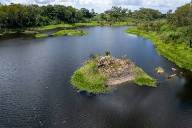 Yeşil bitki örtüsüyle kaplı lanet bir nehrin ortasındaki kayalar. Dumbleton Weir, Mackay, Queensland, Avustralya.