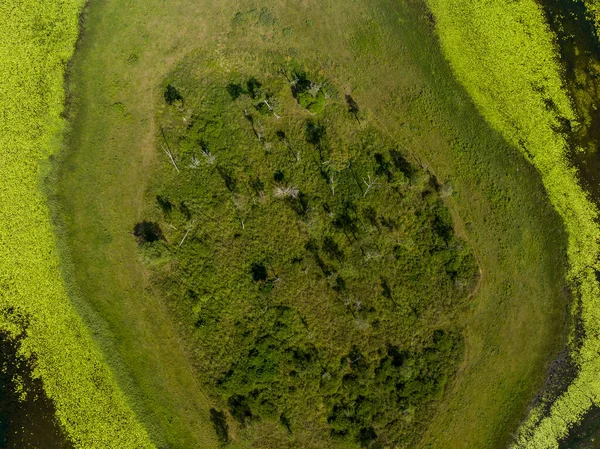 一个被水生植物包围的大坝中的一块土地的直线向下的视图 无人机空中景观 — 图库照片