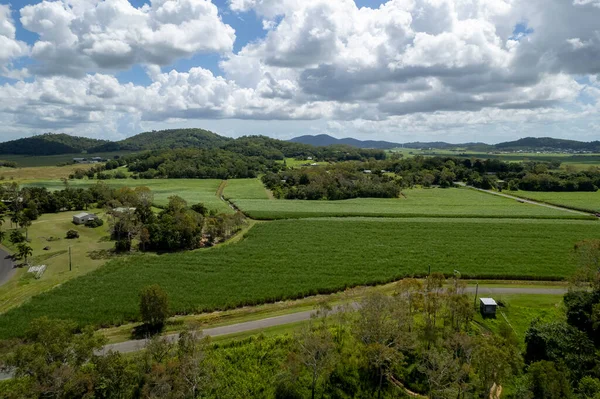 Paisagem Aérea Drone Uma Estrada Através Campos Cana Açúcar Casas — Fotografia de Stock