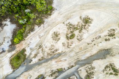 Tuz düzlükleri, otomobil ve motor lastiklerinin lastik izleriyle donatılmış bitki örtüsü. .