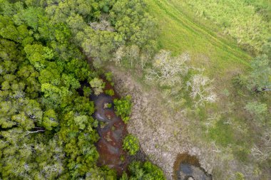 Kırsal çalılıklarda dolanan küçük bir su yolu ya da dere. İnsansız hava aracı gökyüzü manzarası.
