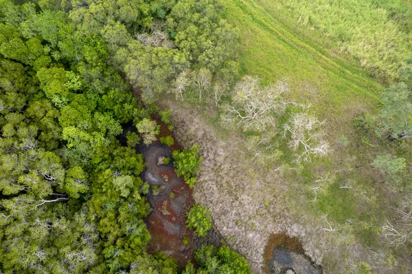 Kırsal çalılıklarda dolanan küçük bir su yolu ya da dere. İnsansız hava aracı gökyüzü manzarası.