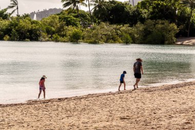 Airlie Beach, WhitSunday, Queensland, Avustralya - Nisan 2022: Bir baba ve iki çocuğu deniz kenarında deniz kabukları aramak için yürüyorlar.
