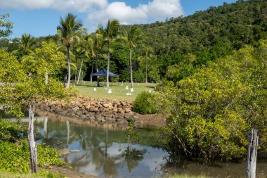 Sahildeki bir tatil köyüne giden bir su parkuruna bakıyorum. Çocukların Paskalya yumurtası avı için hazırlar..