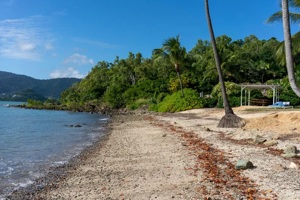 Een Zandstrand Bezaaid Met Stenen Schelpen Met Tropische Vegetatie Stoelen — Stockfoto