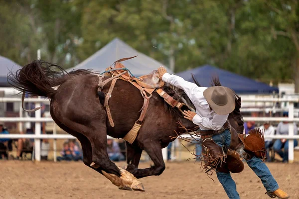 Vaquero Cayendo Tronco Campo Rodeo Australia —  Fotos de Stock