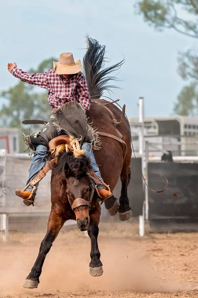 Cowboy Călare Bronc Bucking Țară Rodeo Australia — Fotografie, imagine de stoc