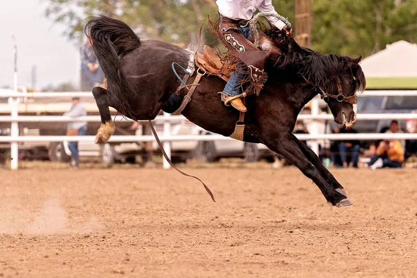 Cowboy Chevauchant Une Bronche Tronçonneuse Rodéo Pays Australie — Photo