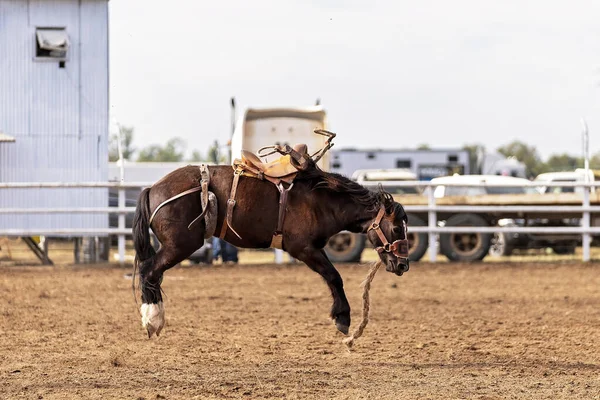 Kovboj Vzpínajícím Bronku Venkovském Rodeu Austrálie — Stock fotografie