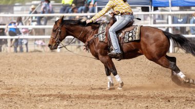 Avustralya rodeosunda varil yarışında yarışan bir sürücü.