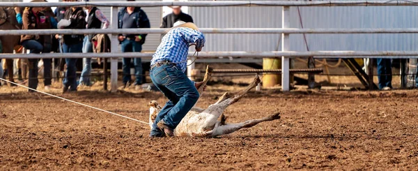 Kovboj Zápasí Tele Zemi Případě Venkově Rodeo Austrálie — Stock fotografie