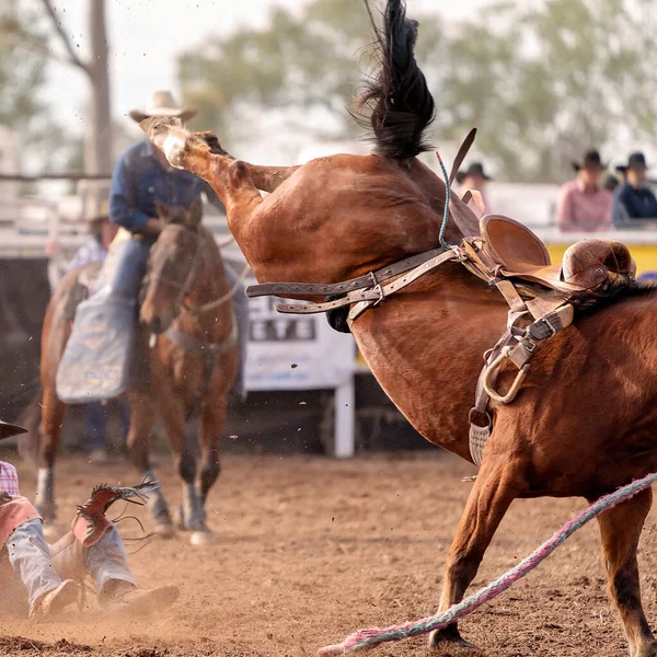 Wild Bronco Lerázta Cowboylovasát Egy Country Rodeón Ausztráliában — Stock Fotó