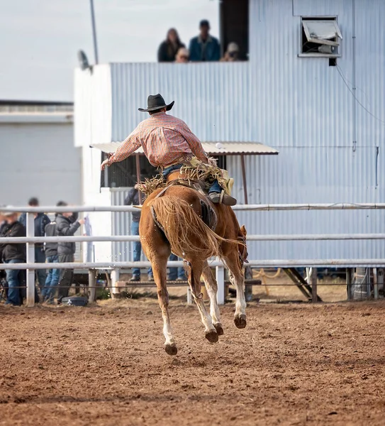 Vaquero Montando Tronco Rodeo Por Campo Australia — Foto de Stock