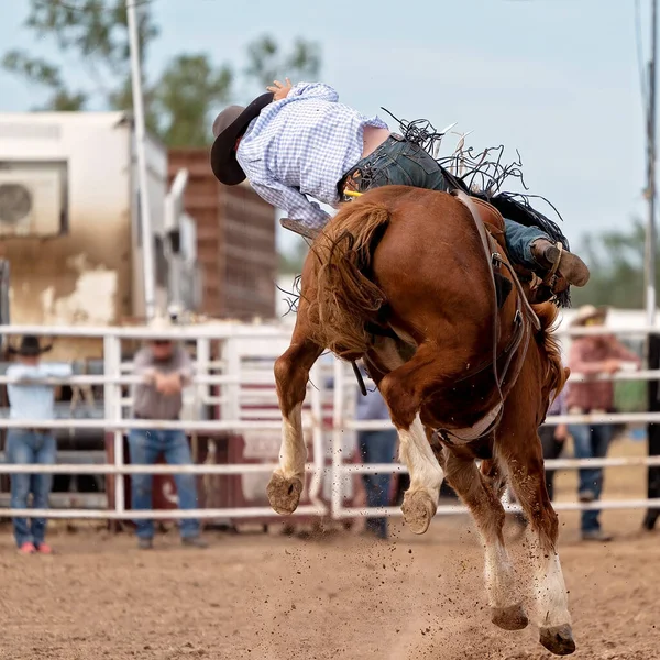 Wild Bronco Est Débarrassé Son Cow Boy Lors Rodéo Australien — Photo