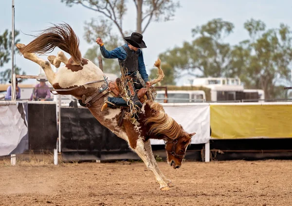 Cowboy Rider Bucking Bronc Ett Land Rodeo Australien — Stockfoto