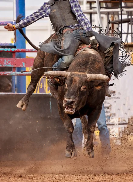 Vaquero Montando Furioso Toro Salvaje Rodeo Campestre Australiano —  Fotos de Stock