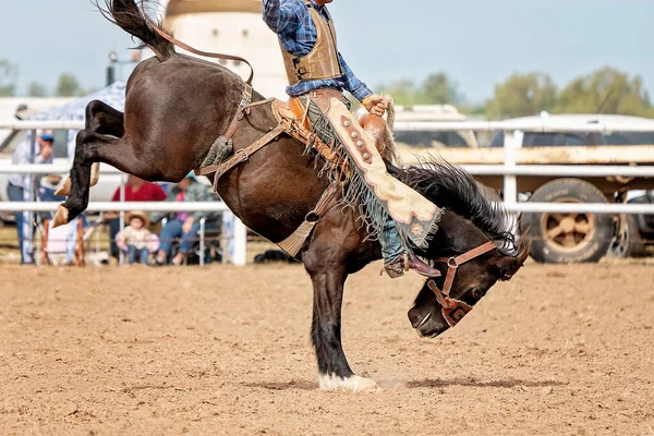 Cowboy Rijden Een Bucking Bronc Een Land Rodeo Australië — Stockfoto