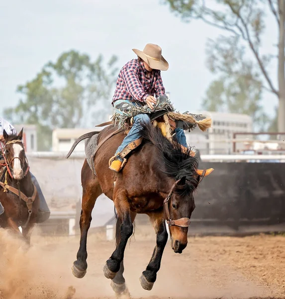 Cowboy Rijden Een Bucking Bronc Een Land Rodeo Australië — Stockfoto