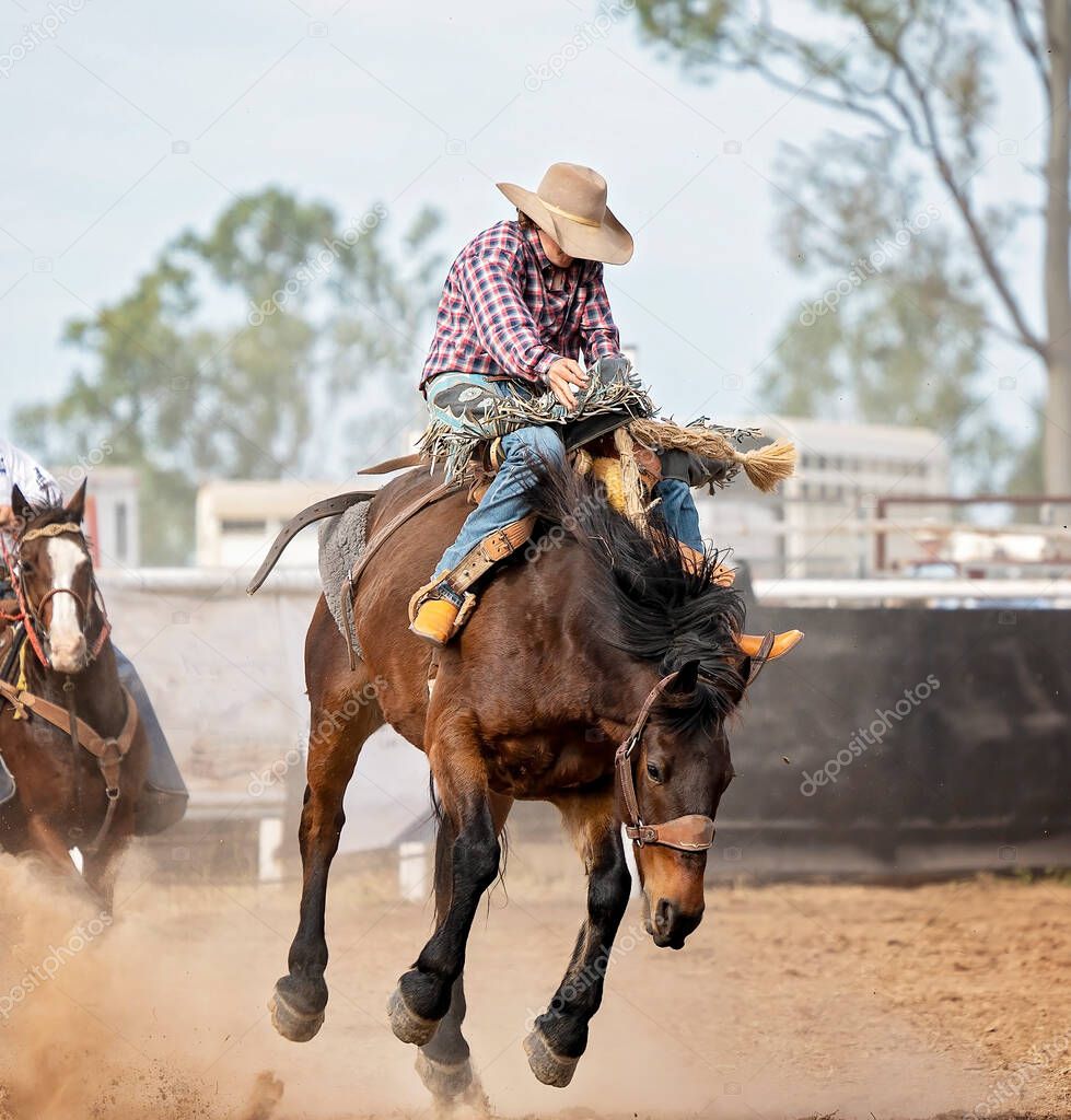 Cowboy riding a bucking bronc at a country rodeo Australia
