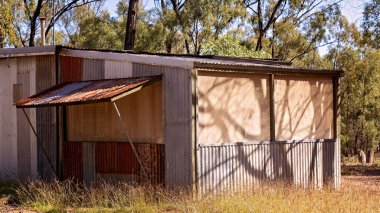 Central Highlands mücevher tarlaları Queensland Avustralya 'daki ödül fosilleştirme alanında terk edilmiş eski bir kulübede oturuyordu. Kazılarda tipik bir kiralık ev işte. Ödül yaklaştı Rubyvale 'e.