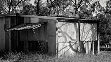 Central Highlands mücevher tarlaları Queensland Avustralya 'daki ödül fosilleştirme alanında terk edilmiş eski bir kulübede oturuyordu. Kazılarda tipik bir kiralık ev işte. Ödül yaklaştı Rubyvale 'e.