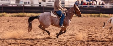 Avustralya 'da bir rodeo kampında at üstünde kovboy.